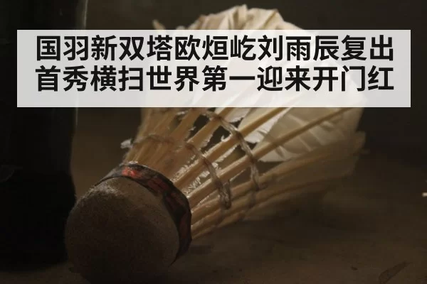 国羽新双塔欧烜屹刘雨辰复出首秀横扫世界第一迎来开门红